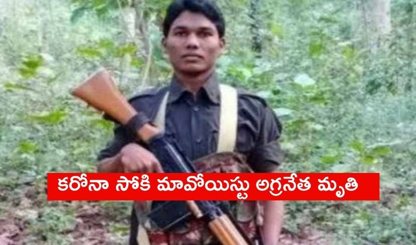 Maoist Haribhushan Died