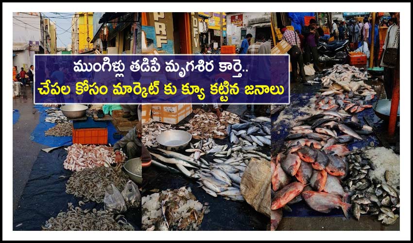 Mrigasira Karthi 2021 Special Ramnagar Fish Market Rush