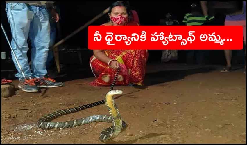 Odisha Woman Sees Her Child Crawl Towards 8 Ft Long King Cobra