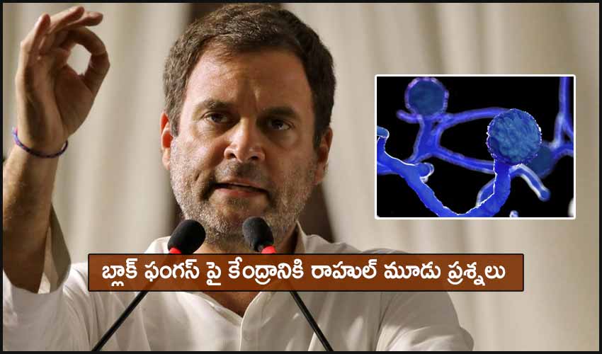 On Black Fungus Cases In India Rahul Gandhi Shoots Three Questions At Govt