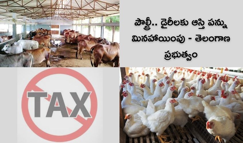 Poultry Diary Forms
