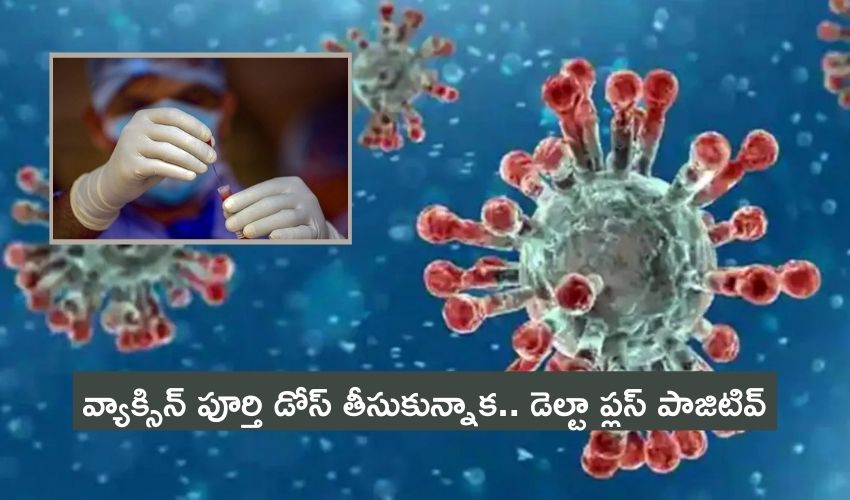 Delta Plus Variant: వ్యాక్సిన్ పూర్తి డోస్ తీసుకున్నాక.. డెల్టా ప్లస్ పాజిటివ్ Delta Plus Variant: వ్యాక్సిన్ పూర్తి డోస్ తీసుకున్నాక.. డెల్టా ప్లస్ పాజిటివ్