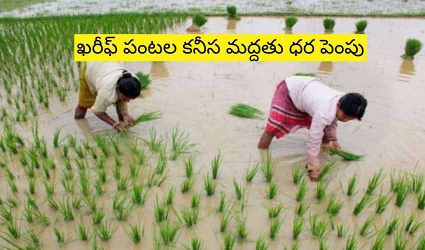 MSP For Kharif Crops : ఖరీఫ్ పంటల కనీస మద్దతు ధర పెంపు MSP For Kharif Crops : ఖరీఫ్ పంటల కనీస మద్దతు ధర పెంపు
