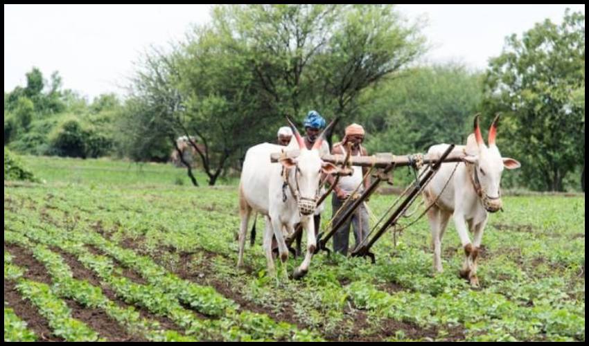 42 Lakh Ineligible Farmers Under Pm Kisan Scheme