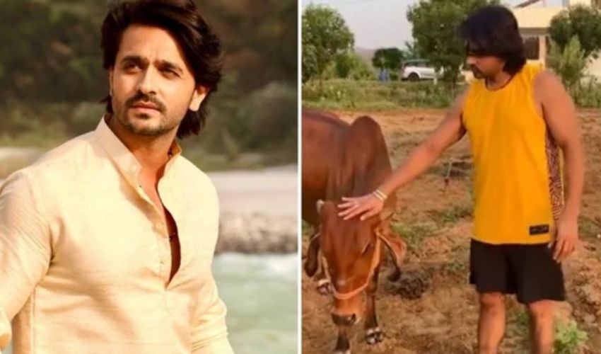 Ashish Sharma: ప్రకృతి విలువ తెలుసుకున్నా.. అందుకే వ్యవసాయం చేస్తున్నా! Ashish Sharma: ప్రకృతి విలువ తెలుసుకున్నా.. అందుకే వ్యవసాయం చేస్తున్నా!