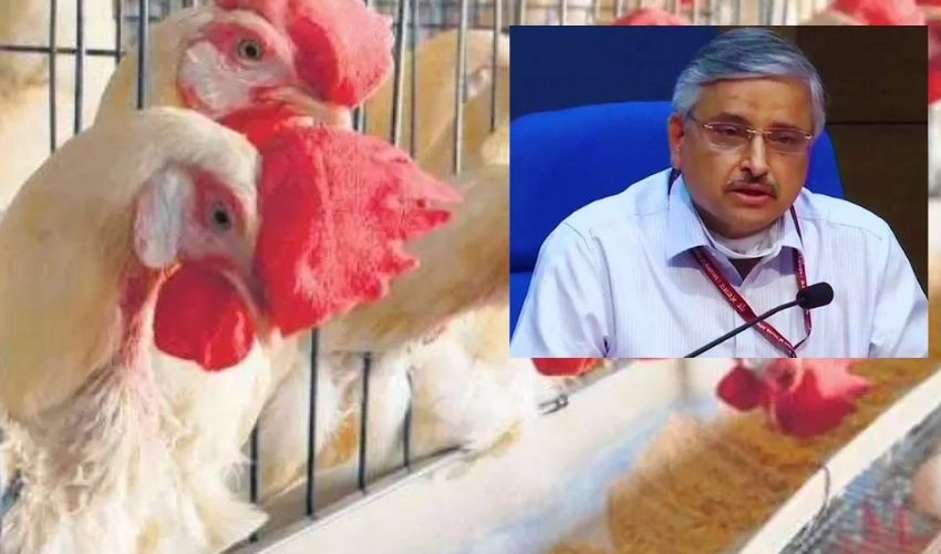 Bird Flu : మనుషుల నుంచి మనుషులకు సోకే ప్రమాదం తక్కువే! Bird Flu : మనుషుల నుంచి మనుషులకు సోకే ప్రమాదం తక్కువే!