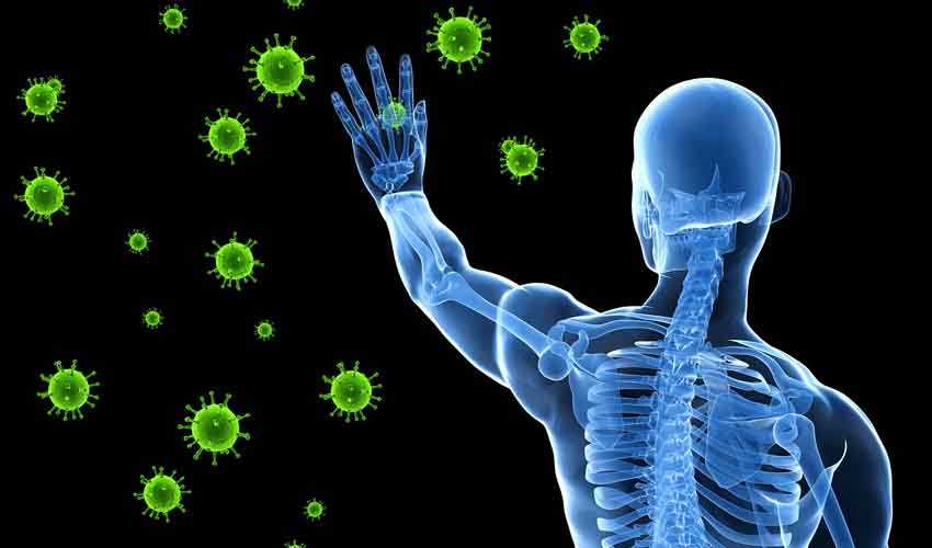Bone Death : బాబోయ్.. ఎముకలు కుళ్లిపోయి, నిర్జీవంగా మారుతాయ్.. కరోనాతో కొత్త ముప్పు Bone Death : బాబోయ్.. ఎముకలు కుళ్లిపోయి, నిర్జీవంగా మారుతాయ్.. కరోనాతో కొత్త ముప్పు