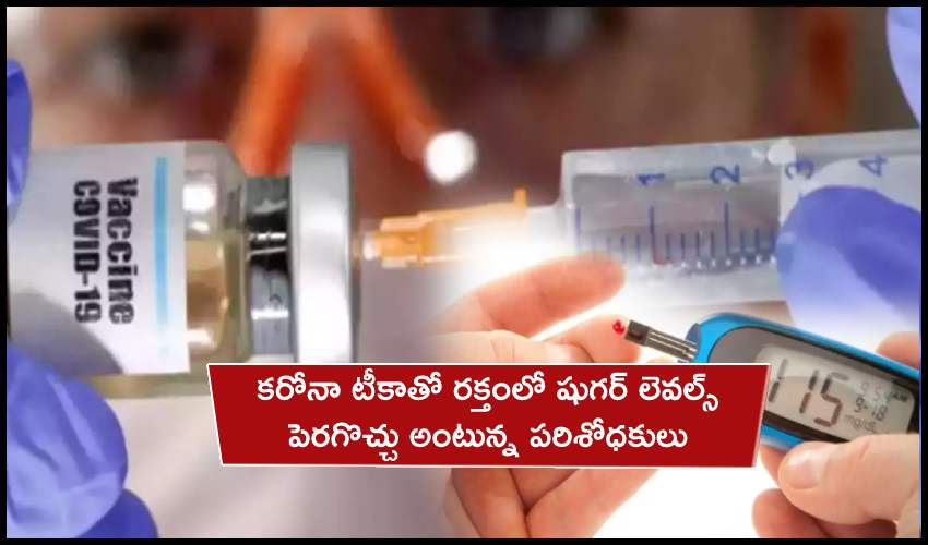 Covishield Vaccine : కరోనా టీకాతో పెరిగిపోతున్న బ్లడ్ షుగర్ లెవల్స్.. వారిలోనే ఎక్కువట! Covishield Vaccine : కరోనా టీకాతో పెరిగిపోతున్న బ్లడ్ షుగర్ లెవల్స్.. వారిలోనే ఎక్కువట!