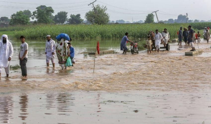 Floods in Telangana: తెలంగాణలో జోరుగా వానలు.. పొంగిన వాగులు.. ముంచెత్తిన వరదలు Floods in Telangana: తెలంగాణలో జోరుగా వానలు.. పొంగిన వాగులు.. ముంచెత్తిన వరదలు