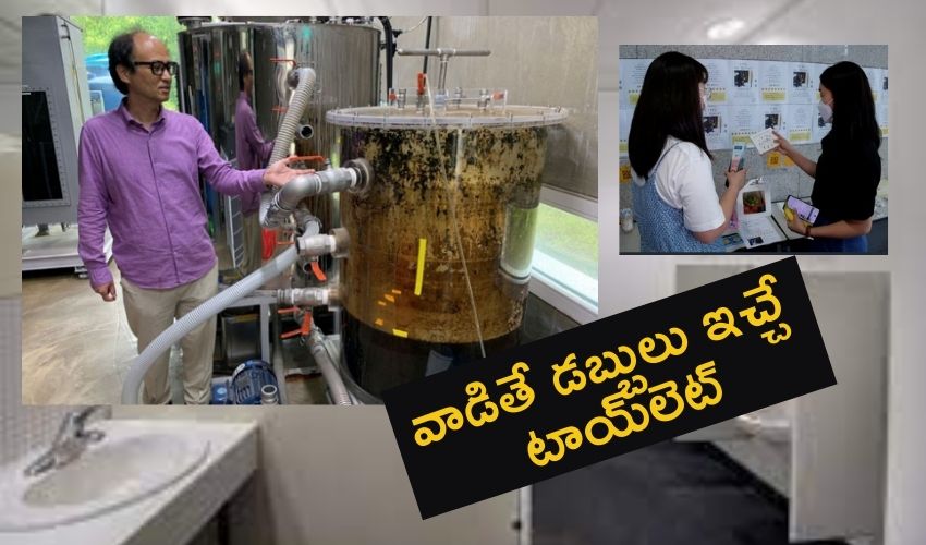 The BeeVi Toilet : వాడితే డబ్బులు ఇచ్చే టాయ్లెట్..!! The BeeVi Toilet : వాడితే డబ్బులు ఇచ్చే టాయ్లెట్..!!