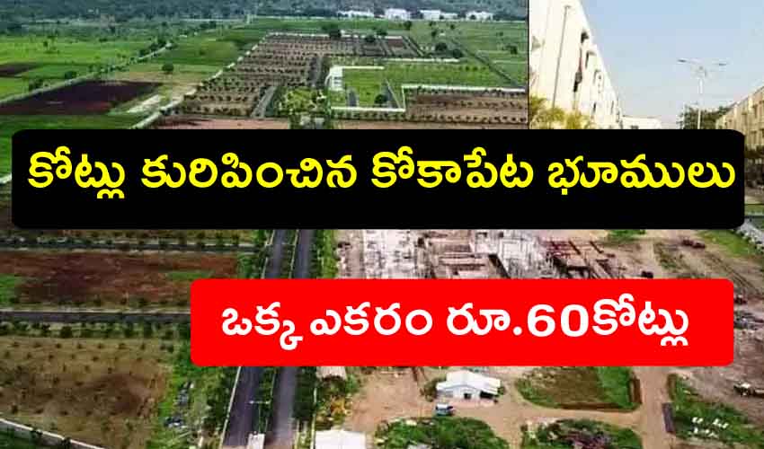 Kokapet Lands : వామ్మో.. ఒక్క ఎకరం రూ.60కోట్లు.. కోకాపేట భూములు కోట్లు కురిపించాయి Kokapet Lands : వామ్మో.. ఒక్క ఎకరం రూ.60కోట్లు.. కోకాపేట భూములు కోట్లు కురిపించాయి