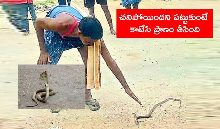 Kurnool