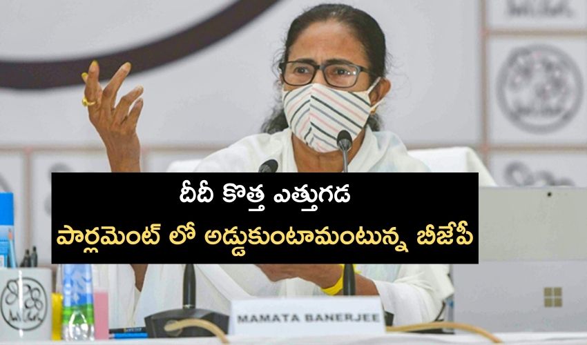 Mamata
