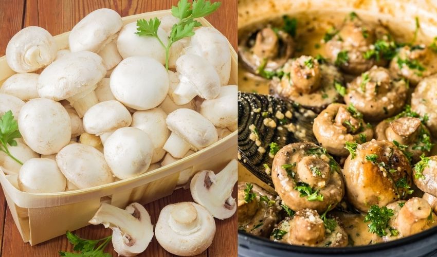 Mashrooms : పుట్టగొడుగుల్లో ఔషదగుణాలు తెలిస్తే..అస్సలు వదలిపెట్టరు.. Mashrooms : పుట్టగొడుగుల్లో ఔషదగుణాలు తెలిస్తే..అస్సలు వదలిపెట్టరు..