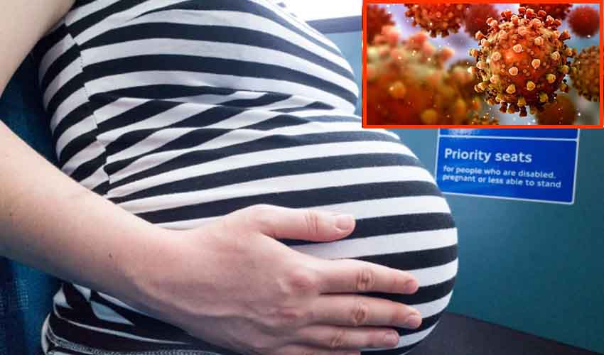 Pregnants Delta Risk
