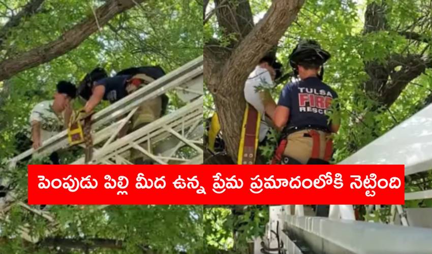 Rescue Team