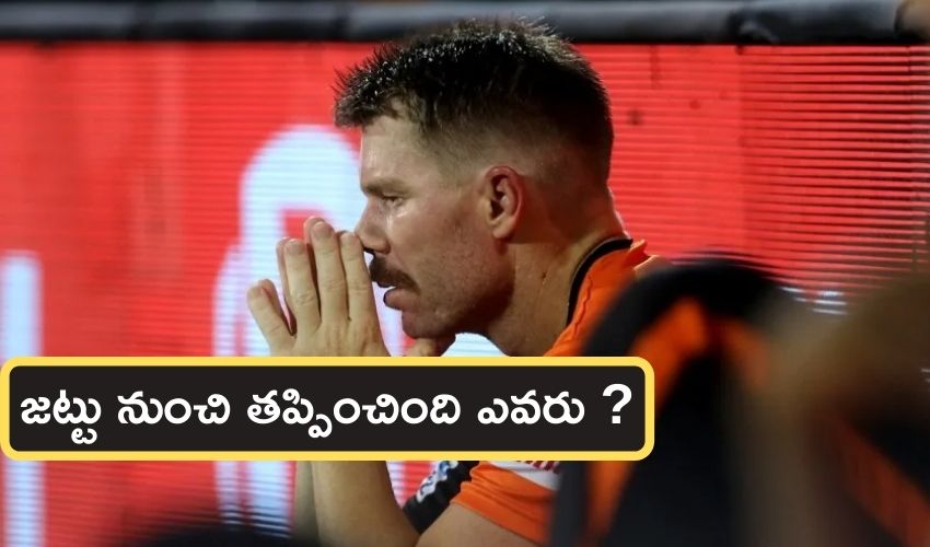 David Warner
