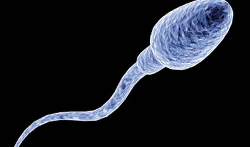 Sperm Covid Patient Dies