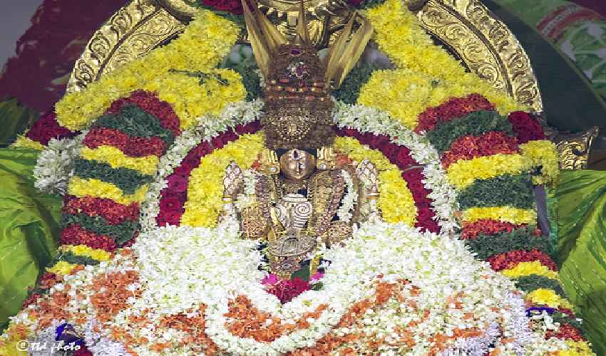 Tiruchanoor Maha Pushpa Yagam : తిరుచానూరులో శాస్త్రోక్తంగా ముగిసిన కనకాంబర సహిత కోటి మల్లెపుష్ప మహాయాగం Tiruchanoor Maha Pushpa Yagam : తిరుచానూరులో శాస్త్రోక్తంగా ముగిసిన కనకాంబర సహిత కోటి మల్లెపుష్ప మహాయాగం