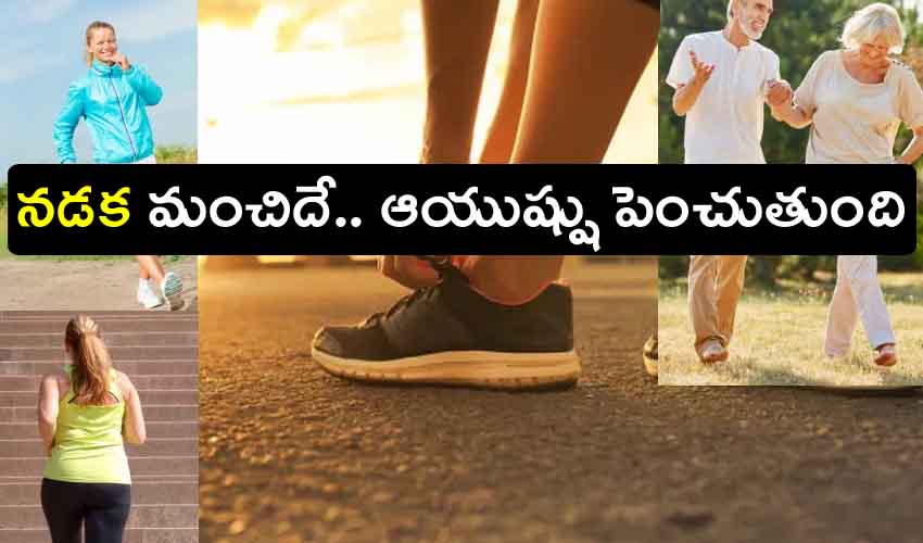 Walking Extends Your Life : నడక మంచిదే.. ఆరోగ్యాన్ని కాపాడుతుంది, ఆయుష్షుని పెంచుతుంది Walking Extends Your Life : నడక మంచిదే.. ఆరోగ్యాన్ని కాపాడుతుంది, ఆయుష్షుని పెంచుతుంది
