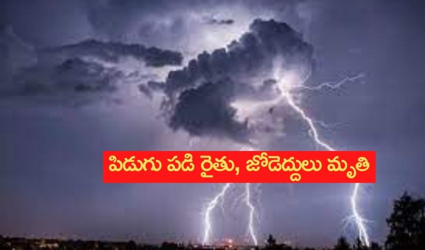 Adilabad : పిడుగు పడి రైతు, జోడెద్దులు మృతి Adilabad : పిడుగు పడి రైతు, జోడెద్దులు మృతి