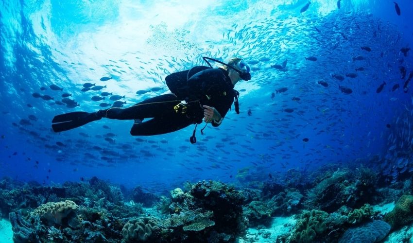 Scuba Diving Acadamy