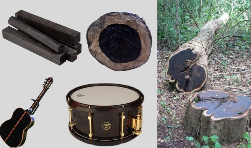 Black Wood