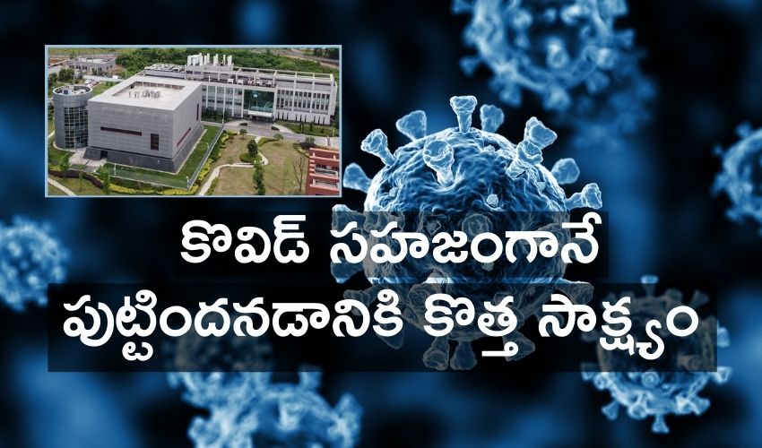 Covid-19: కొవిడ్ సహజంగానే పుట్టిందనడానికి కొత్త సాక్ష్యం Covid-19: కొవిడ్ సహజంగానే పుట్టిందనడానికి కొత్త సాక్ష్యం