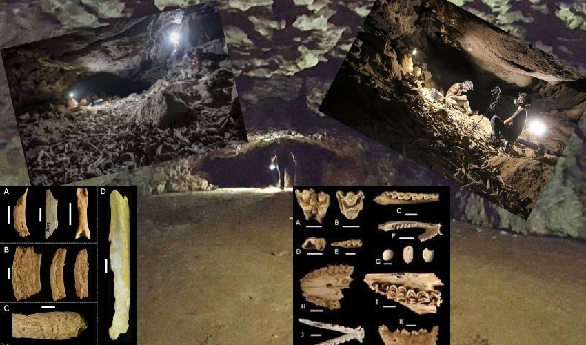 Hyenas Dinner Spot Lava Cave Found