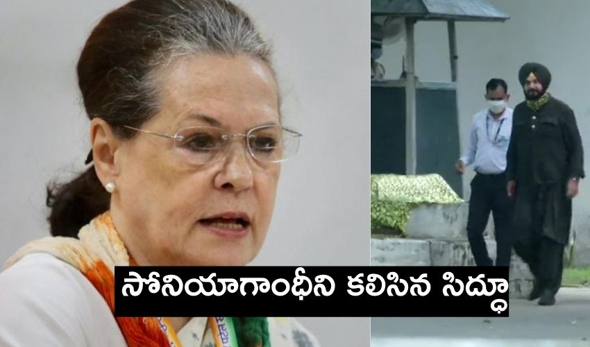 Navjot Singh Sidhu : సోనియాగాంధీని కలిసిన సిద్ధూ..పంజాబ్ పీసీసీ కన్ఫర్మ్ అయినట్లేనా? Navjot Singh Sidhu : సోనియాగాంధీని కలిసిన సిద్ధూ..పంజాబ్ పీసీసీ కన్ఫర్మ్ అయినట్లేనా?