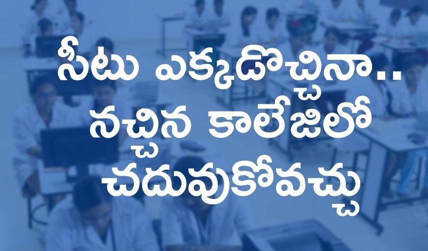 Students Offer (1)