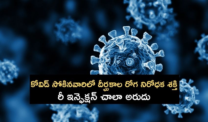 Virus