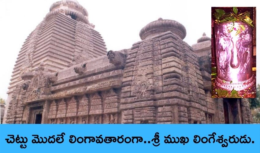 Sri Mukha Lingeshwar : చెట్టు మొదలుగా కొలువైన..శ్రీ ముఖ లింగేశ్వరుడు… Sri Mukha Lingeshwar : చెట్టు మొదలుగా కొలువైన..శ్రీ ముఖ లింగేశ్వరుడు…