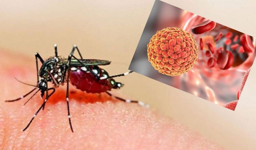 1st Case Of Zika Virus In Maharashtra
