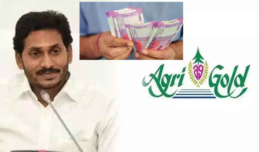 Agrigold