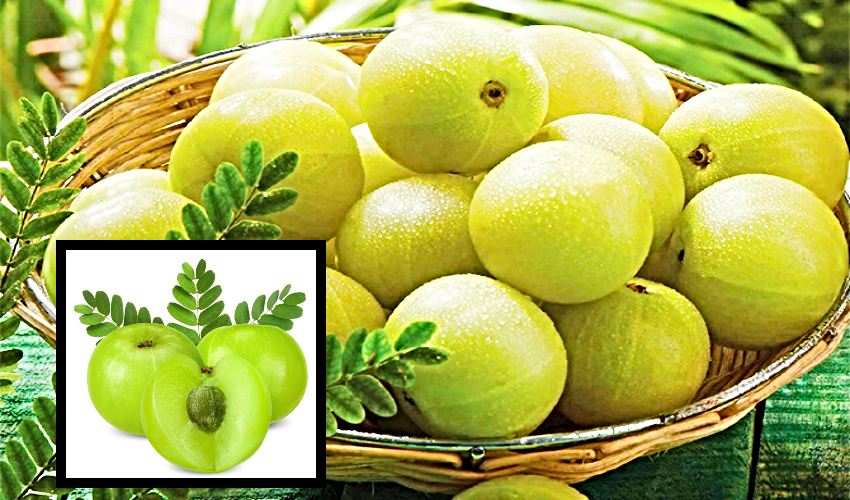 Amla