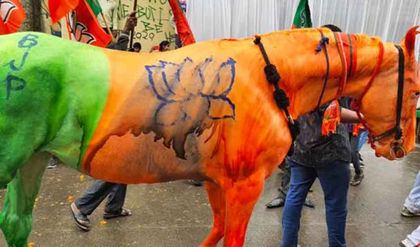 Bjp Horse