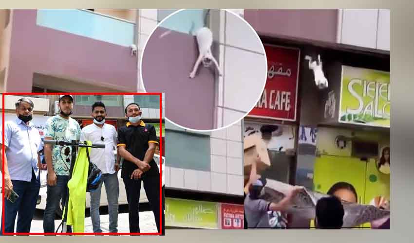 Cat Rescue : గర్భంతో ఉన్న పిల్లిని పట్టారు, రూ.10లక్షలు సంపాదించారు Cat Rescue : గర్భంతో ఉన్న పిల్లిని పట్టారు, రూ.10లక్షలు సంపాదించారు