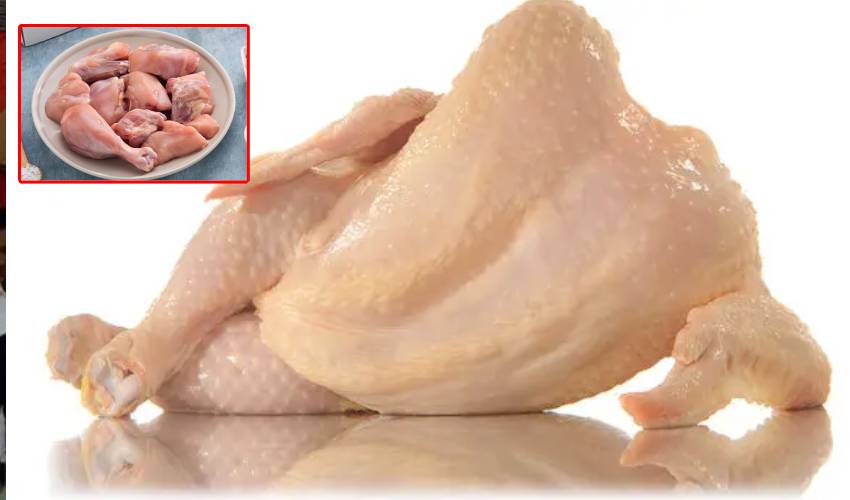 Chicken Price