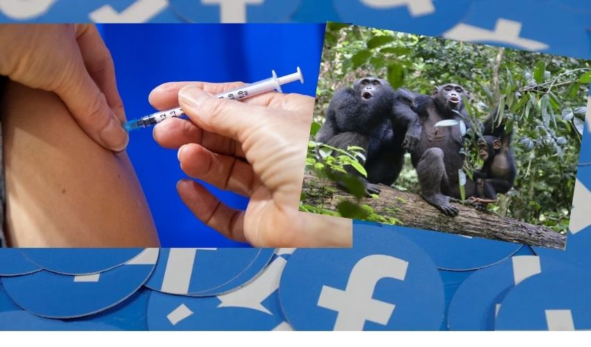 Facebook Bans 300 Russian Accounts