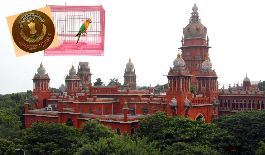 ' Free Caged Parrot Cbi' Madras Hc (1)