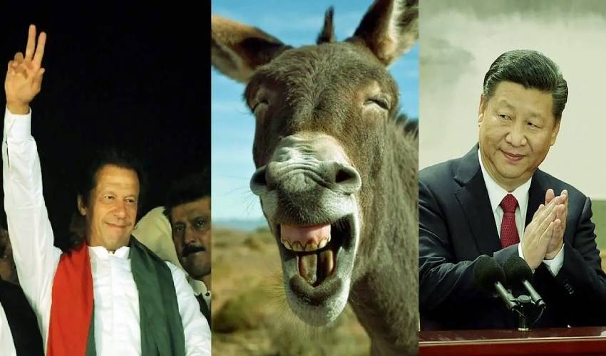 Imran Khan’s Pakistan Has Now Turned To Donkeys To Boost Friendship With China