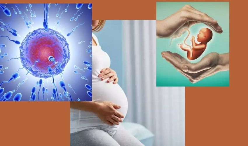 IIT-H, KMC : సంతాన లేమి…బాధ పడుతున్నారా ? చింతపడకండి IIT-H, KMC : సంతాన లేమి…బాధ పడుతున్నారా ? చింతపడకండి