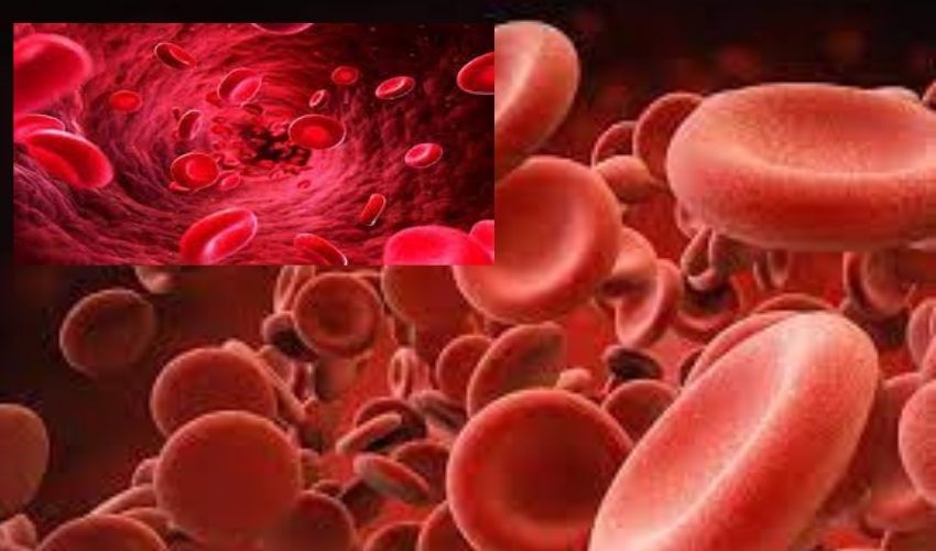 Platelets