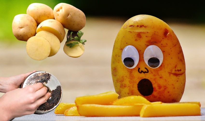 Potatoes : ఆలుగడ్డతో ఇన్ని ప్రయోజనాలా… తెలిస్తే అస్సలు వదలిపెట్టరు Potatoes : ఆలుగడ్డతో ఇన్ని ప్రయోజనాలా… తెలిస్తే అస్సలు వదలిపెట్టరు