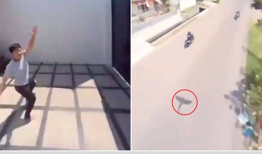 Amazing viral Video : ఫోన్‌ను ఎత్తుకెళ్లిన చిలుక..వీడియోఎంత బాగా షూట్ చేసిందో..!!