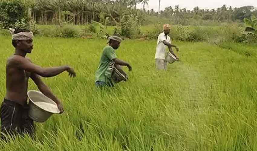 Sbi Farmers