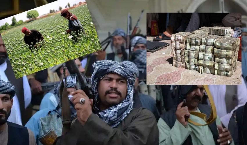 Subhadra Kumari Afghanistan Talibans Income Sources Chauhan