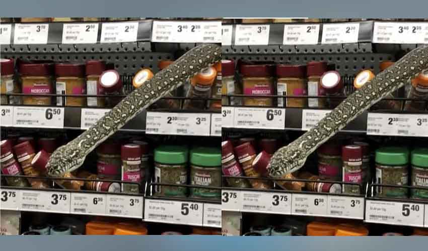 Supermarket Python
