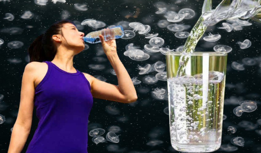 Drinking Water : మంచినీరు త్రాగే సమయంలో ఈ నియమాలు పాటించకుంటే….. Drinking Water : మంచినీరు త్రాగే సమయంలో ఈ నియమాలు పాటించకుంటే…..